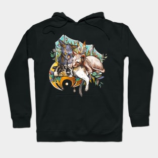 Sphynxs Cats Hoodie